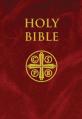  Catholic Bible Standard Size NABRE 