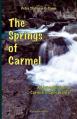  The Springs of Carmel: An Introduction to Carmelite Spirituality 