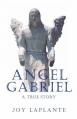  Angel Gabrel - A True Story 