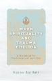  When Spirituality and Trauma Collide: A Guidebook for Practitioners of Soul Care 
