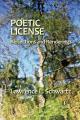  Poetic License: Reflections and Renderings 