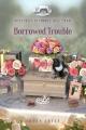  Borrowed Trouble 