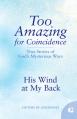  His Wind at My Back: True Stories of God's Mysterious Ways 
