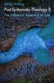  Post-Systematic Theology II: The Trinitarian Adventure of Love - Ecological Ways of Creation, Humaning and Its Displacement 