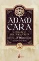  Anam Cara. El Libro de la Sabidur 