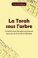  La Torah sous l'arbre: L'oralit 