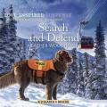 Search and Defend Lib/E 