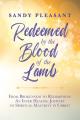  Redeemed by the Blood of the Lamb: From Brokenness to Redemption: An Inner Healing Journey to Spiritual Maturity in Christ 