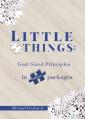  Little Things: God-sized principles in small packages 