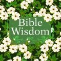  Bible Wisdom: Scripture Verses, Reflections & Prayers Christian Devotional 10 Chapters on Faith, Love, Hope, Forgiveness & More Gift for Women, Men, B 
