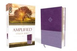  Amplified Study Bible, Imitation Leather, Purple 