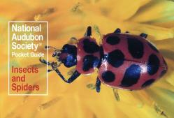  National Audubon Society Pocket Guide: Insects and Spiders 