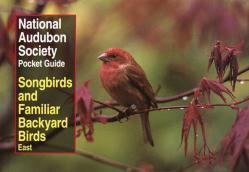  National Audubon Society Pocket Guide to Songbirds and Familiar Backyard Birds: Eastern Region: East 