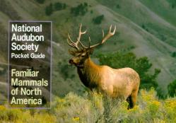  National Audubon Society Pocket Guide to Familiar Mammals 