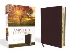  Amplified-Am: Captures the Full Meaning Behind the Original Greek and Hebrew 