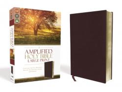  Amplified Bible-Am-Large Print: Captures the Full Meaning Behind the Original Greek and Hebrew 