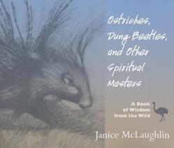  Ostriches, Dung Beetles and Other Spiritual Masters: A Book of Wisdom from the Wild 