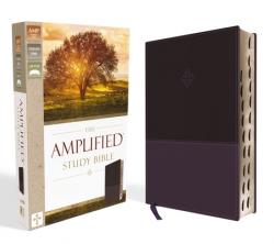  Amplified Study Bible, Imitation Leather, Purple, Indexed 