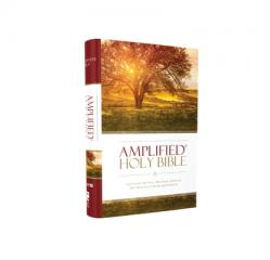  Amplified Bible-Am: Captures the Full Meaning Behind the Original Greek and Hebrew 