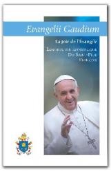  Evangelii gaudium - exhortation apostolique - Joy of the Gospel 