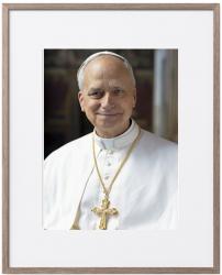  Picture Pope Leo XIV 16 x 20 inch 