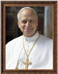  Picture Pope Leo XIV 16 x 20 inch Framed/Plexiglass 