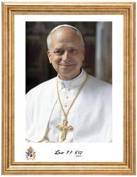  Picture Pope Leo XIV 11 x 14 inch Framed/Glass 