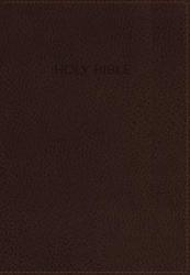  Foundation Study Bible-NIV 
