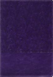  Amplified Holy Bible, Large Print, Leathersoft, Purple: Captures the Full Meaning Behind the Original Greek and Hebrew 