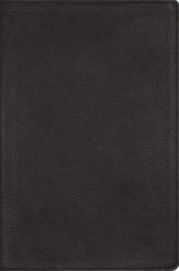  Nrsvue, Single-Column Reference Bible, Genuine Calfskin Leather, Black, Art Gilded Edges, Comfort Print 