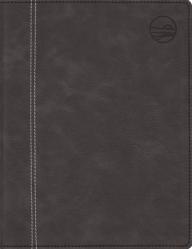  Rooted: The NIV Bible for Men, Leathersoft, Gray, Thumb Indexed, Comfort Print 
