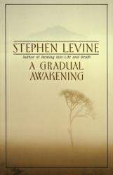  A Gradual Awakening 