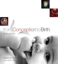  From Conception to Birth: A Life Unfolds 