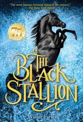  The Black Stallion 