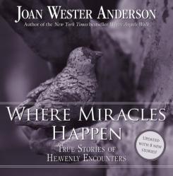  Where Miracles Happen: True Stories of Heavenly Encounters 