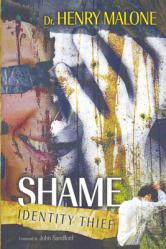 Shame Identity Thief 