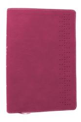  Student Study Bible: A Guide to Knowing and Living God\'s Word (Nkjv, Pink Leathersoft, Red Letter, Comfort Print) 