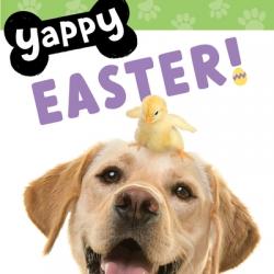  Yappy Easter! 