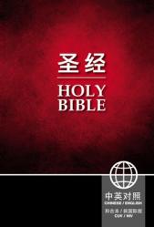  Chinese/English Bible-PR-FL/NIV 