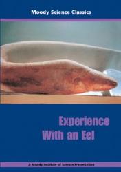  Experience with an Eel 