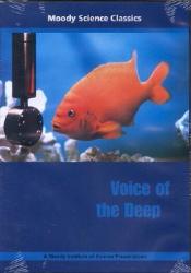  Voice of the Deep 