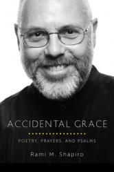  Accidental Grace: Poetry, Prayers, and Psalms 