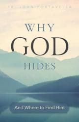  Why God Hides: And Where to Find Him 