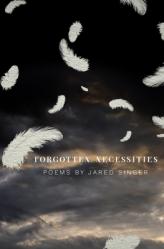  Forgotten Necessities: Poems 
