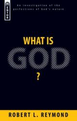  What Is God?: An Investigation of the Perfections of God\'s Nature 