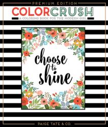  Color Crush: An Adult Coloring Book 