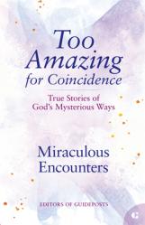  Miraculous Encounters: True Stories of God\'s Mysterious Ways 