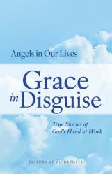  Grace in Disguise: True Stories of God\'s Hand at Work 