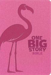  KJV One Big Story Bible, Revised & Updated, Easy-To-Read Optimal Type, Pink Leathertouch, Indexed 