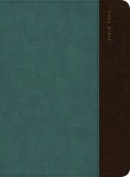  CSB Large Print Compact Reference Bible, Digital Study Edition, Easy-To-Read Optimal Type, Slate/Brown Leathertouch, Zipper Edition 